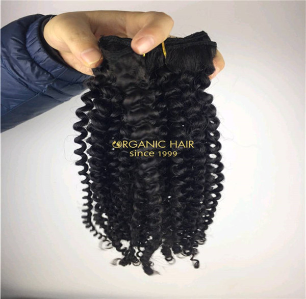 Wholesale curly clip in hair extensions X13